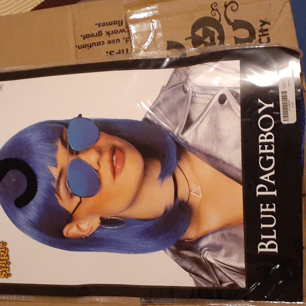 Costume wig